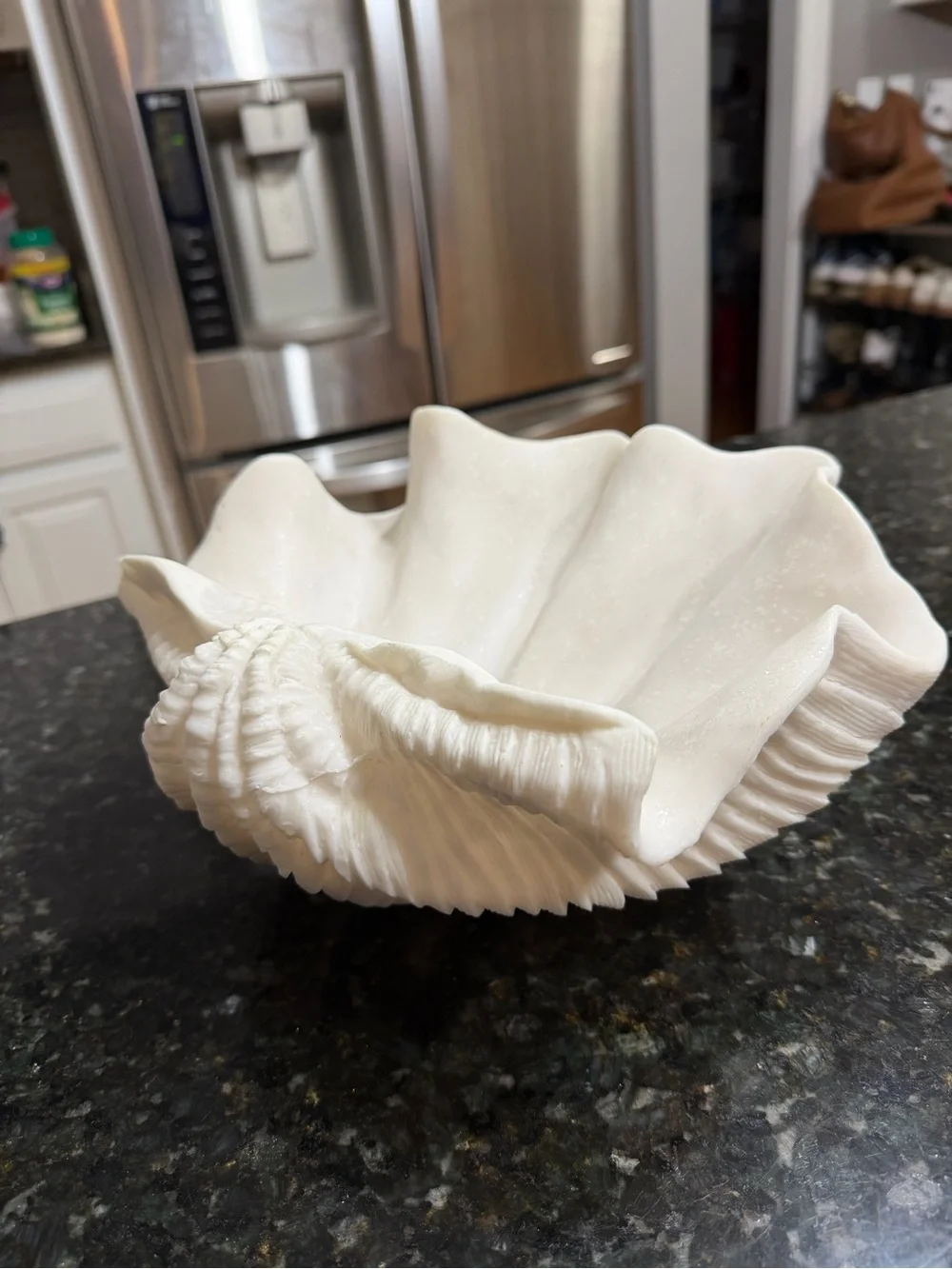 Sculptural White Giant Clam Shell Decorative Bowl Coastal Decor